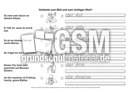 Rätsel-Nomen-zuordnen-1-29.pdf